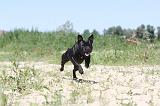 STAFFIE 033